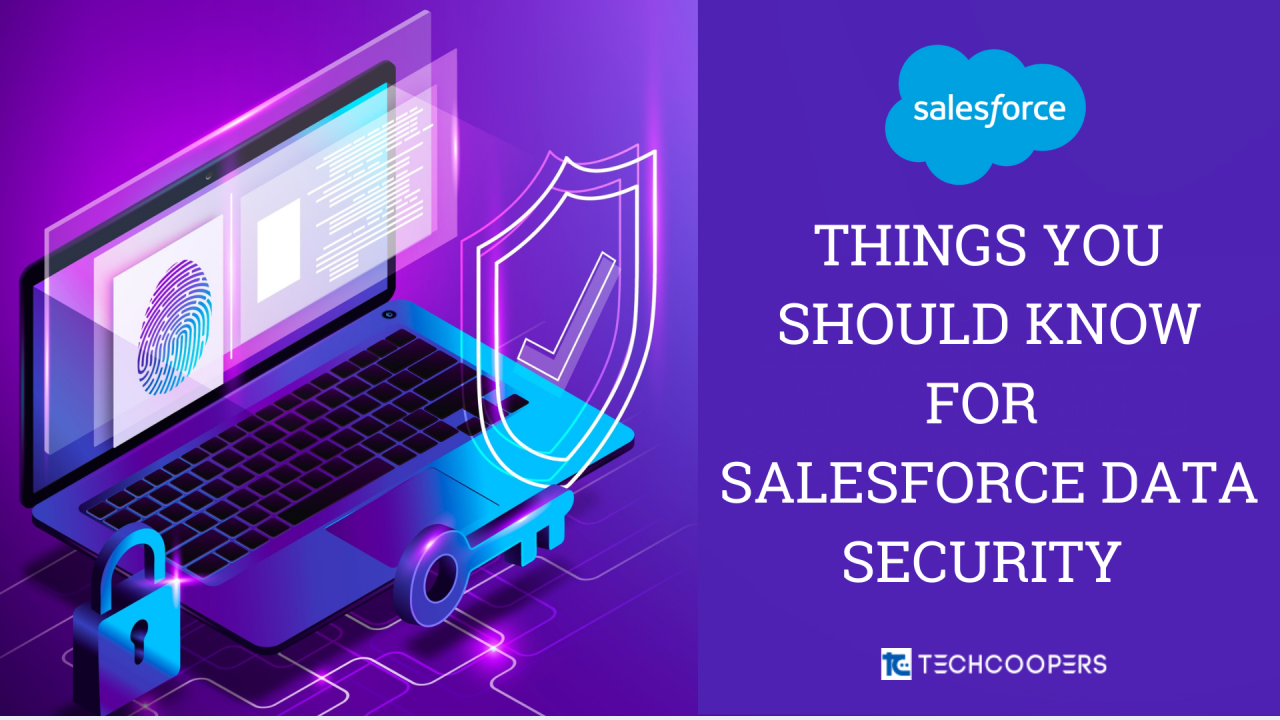 things you should know for salesforce data security
               